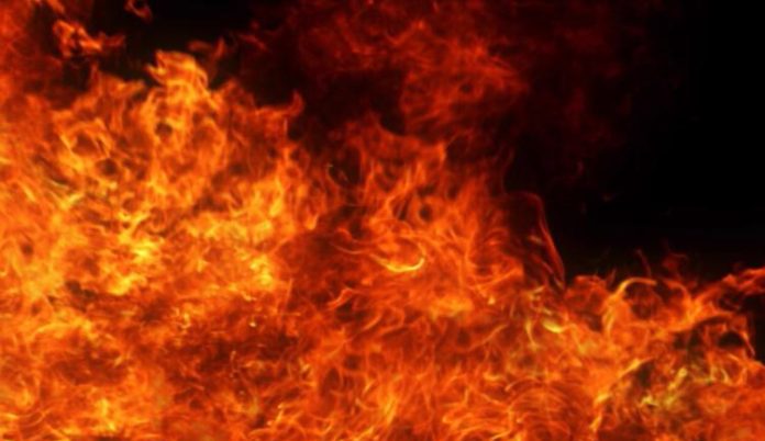 Mata Vaishno Devi Shrine Board-Run Souvenir Shop Gutted In Fire