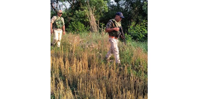 Security personnel conducting searches in border area of Samba district after thwarted drone attempt.