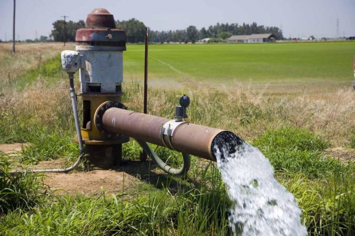 Replacing rice with other crops could help recover groundwater lost since 2000: Study