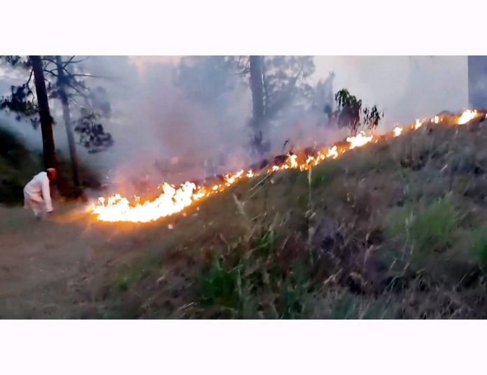 Forest fire engulfs Salotri area of Poonch. -Excelsior/Waseem