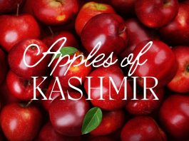 Apples of Kashmir