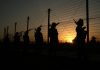 BSF Trooper Injured As Pakistan Violates Ceasefire Along Border In Jammu