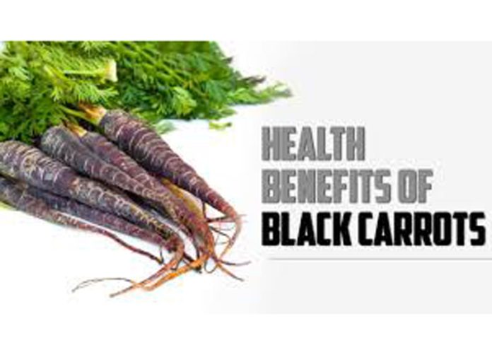 Black carrots more nutritious than others: Patanjali Research