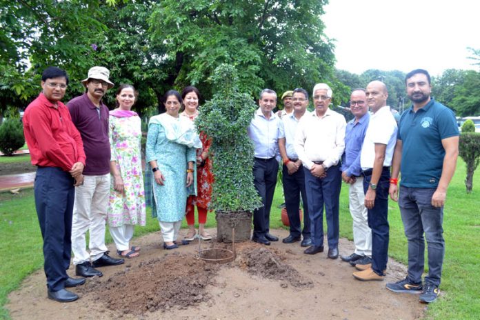 Jammu University Vice Chancellor, Prof Umesh Rai, unveiling a topiary garden at the varsity on Friday.