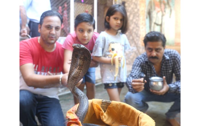 Devotees worshiping live snake by offering milk on the occasion of Naag Panchami at Jammu.