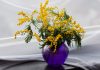 How to Create DIY Floral Arrangements at Home: Singapore Style